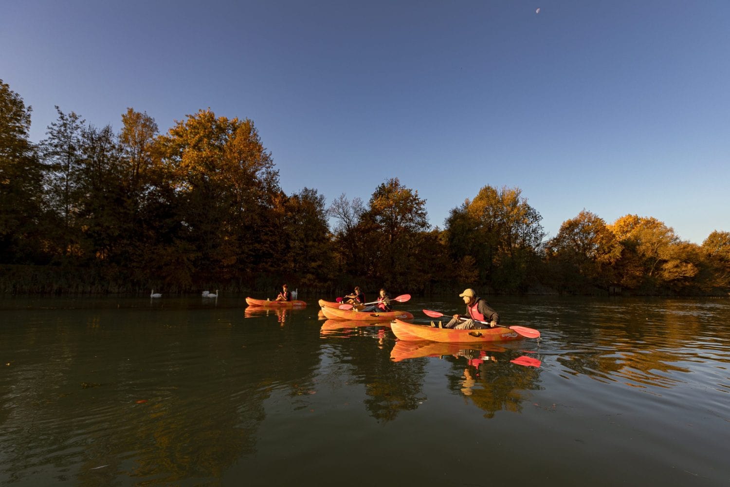 Alla scoperta del Cimitero dei Burci in kayak